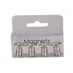 Assortiment de 4 magnets forme vis métallique dorée ou argent